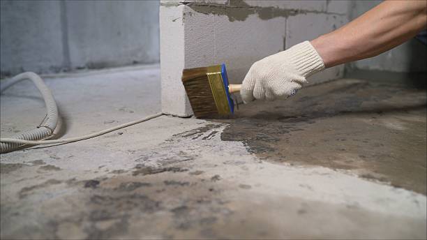 SJ Waterproofing Pros Exterior Waterproofing coverage map for Middleville, MI and surrounding area